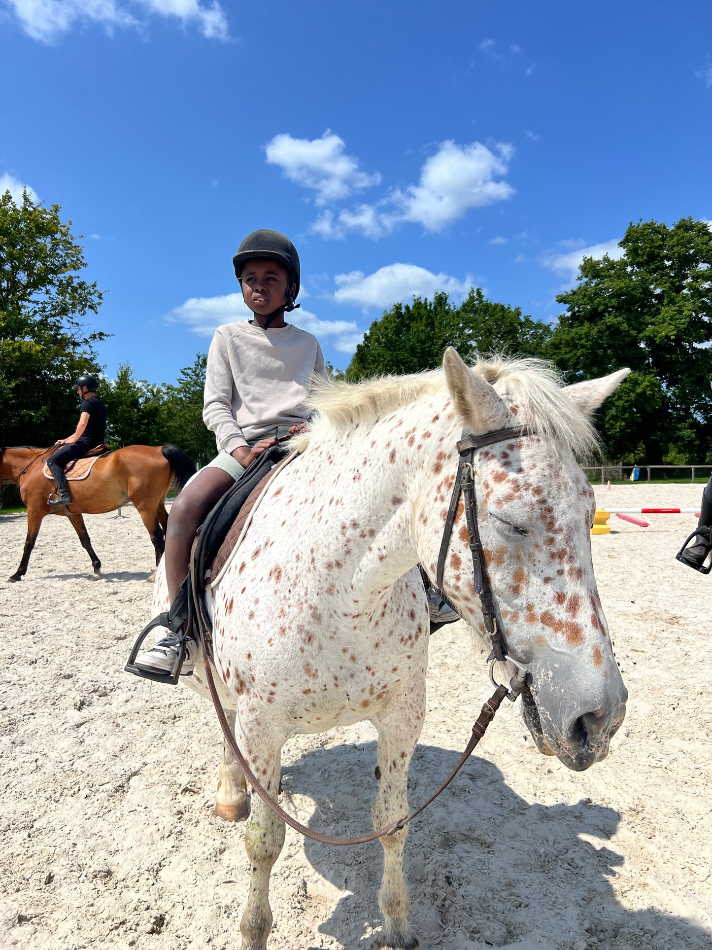 Anniversaire à poney – Une fête inoubliable !