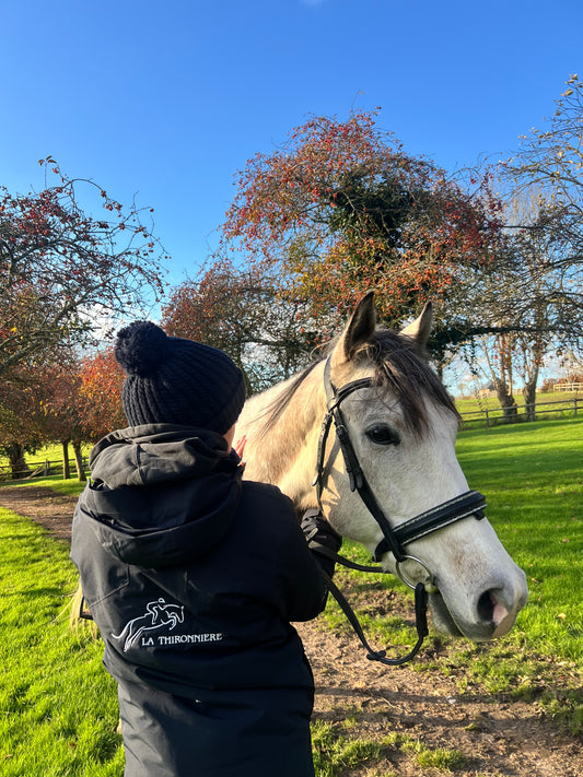 Séances d’équithérapie – Accompagnement personnalisé