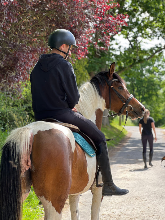 Balades à cheval et poney